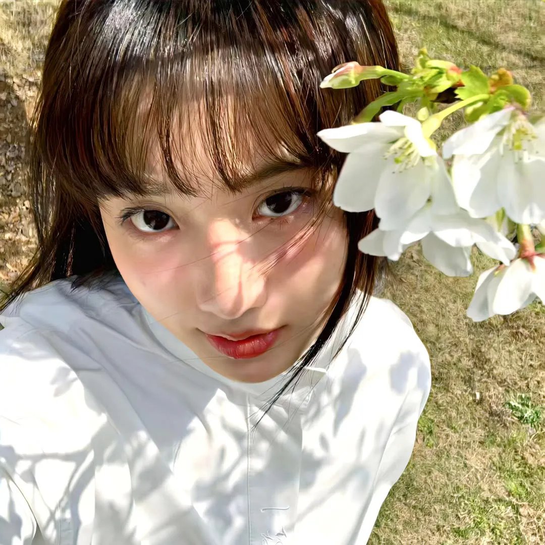 东京飞龙儿