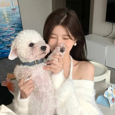 翻译家~长崎翻译异闻~